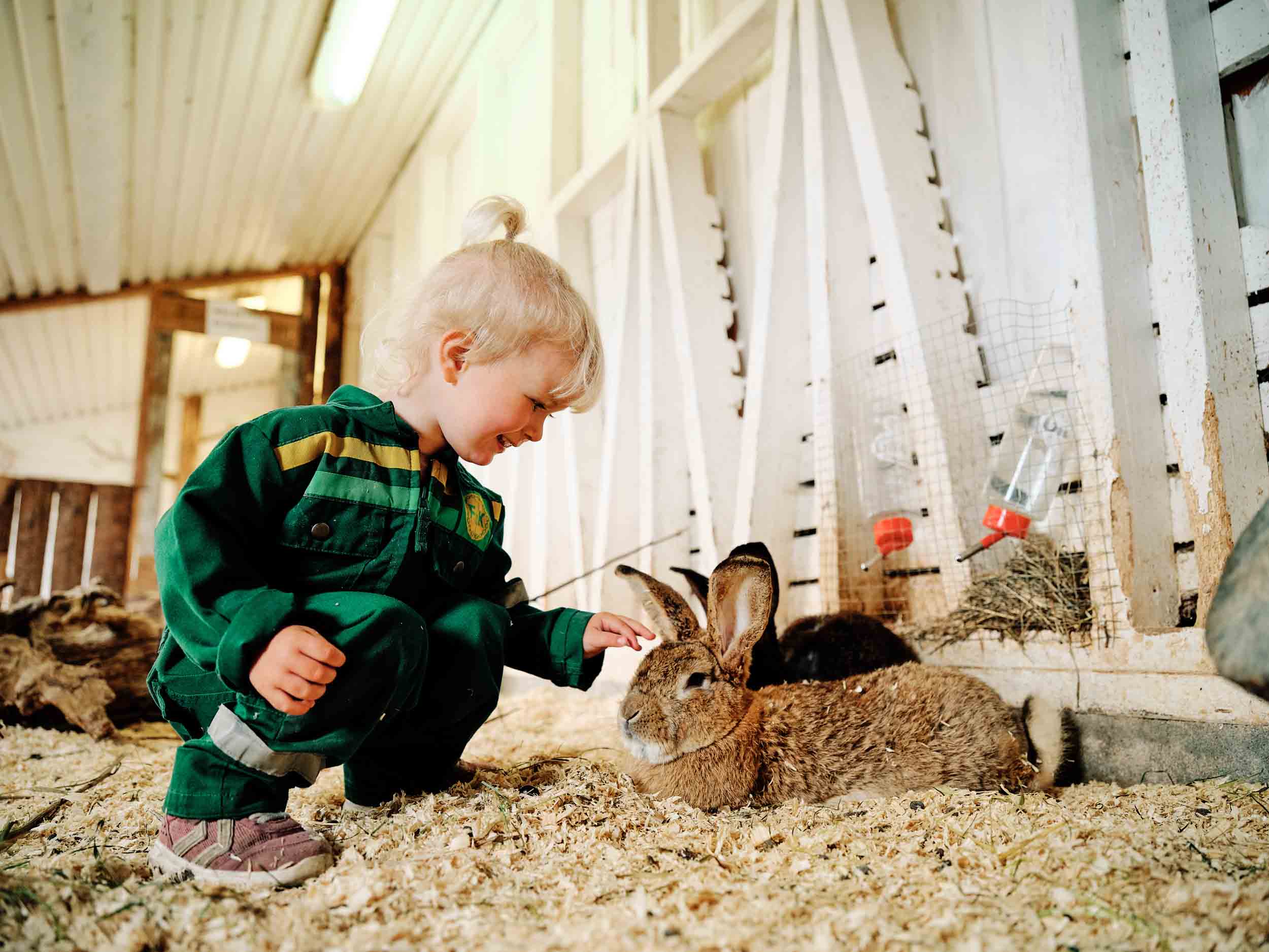 Eva fra Gundersen gård på Jomfruland klapper kaninenen